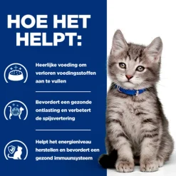 Hill's Prescription Diet - i/d Digestive Care - Kitten - Maaltijdzakje