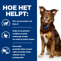 Hill's Prescription Diet Metabolic Weight Management - Canine - Lam & Rijst