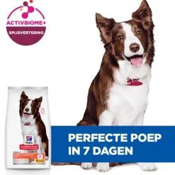 Hill's Science Plan Adult Perfect Digestion Medium Hondenvoer