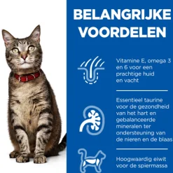 Hill's Science Plan Feline Adult Favourite Selection