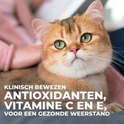 Hill's Science Plan - Feline Adult - Perfect Weight - Maaltijdzakje