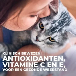 Hill's Science Plan - Kitten - Maaltijdzakje - Favourite Selection