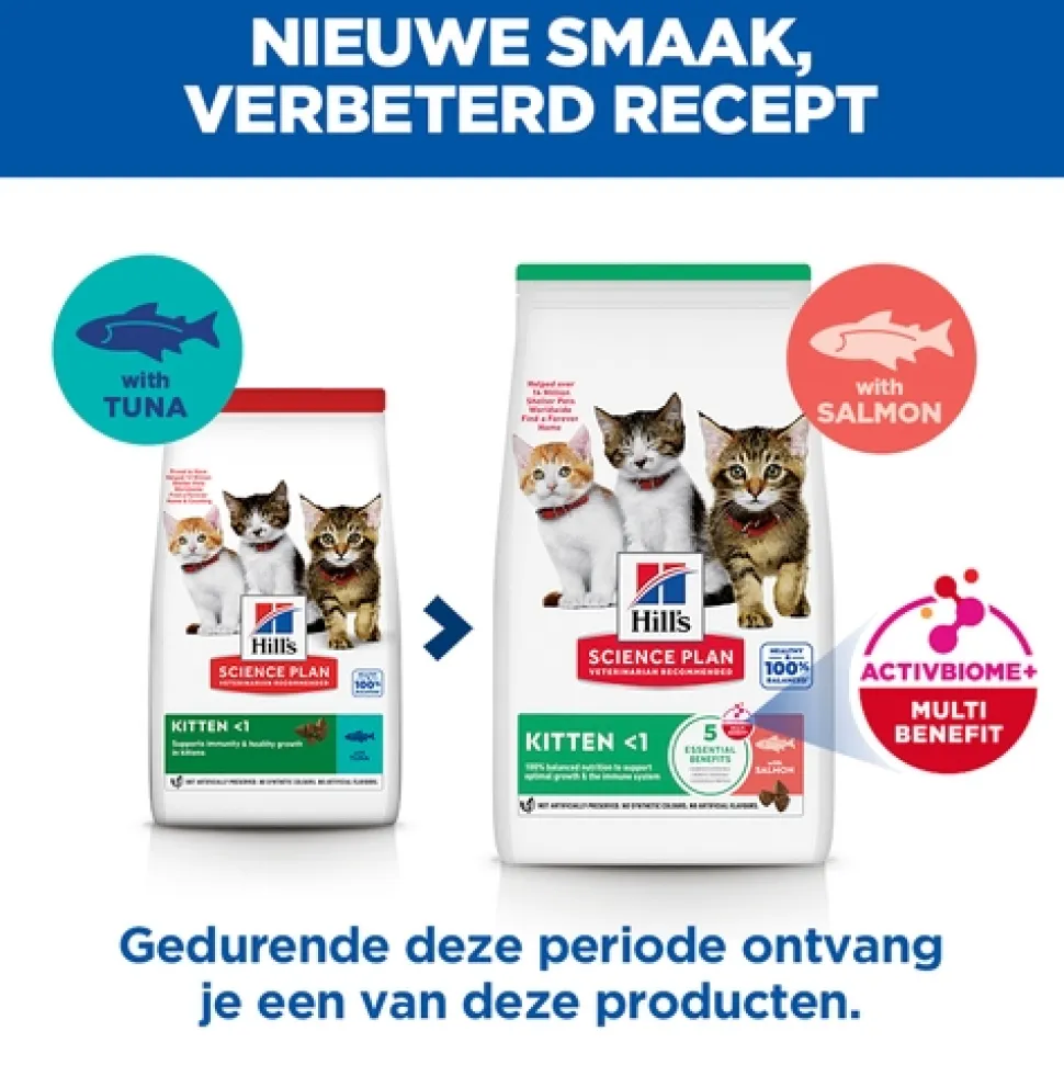 Hill's Science Plan - Kitten - Zalm