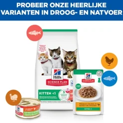 Hill's Science Plan - Kitten - Zalm