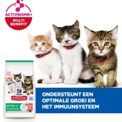 Hill's Science Plan - Kitten - Zalm