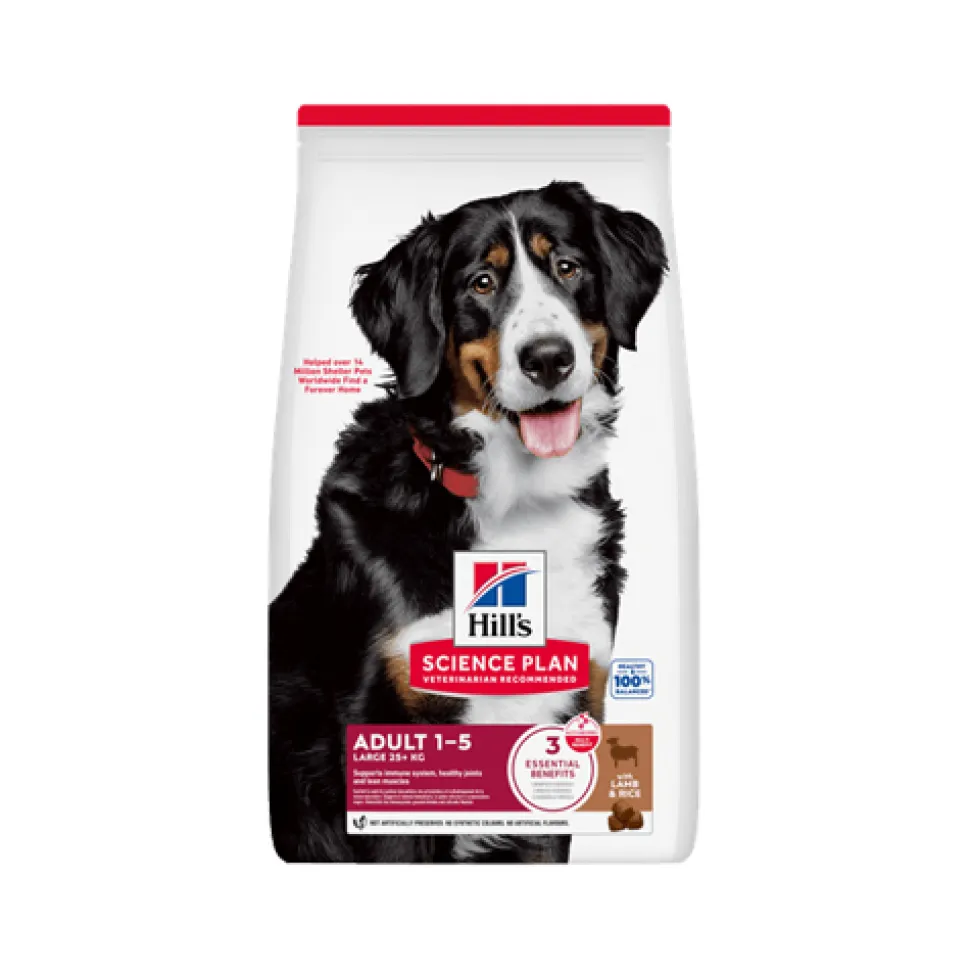 Hill's Science Plan Large Breed - Adult - Lam & Rijst