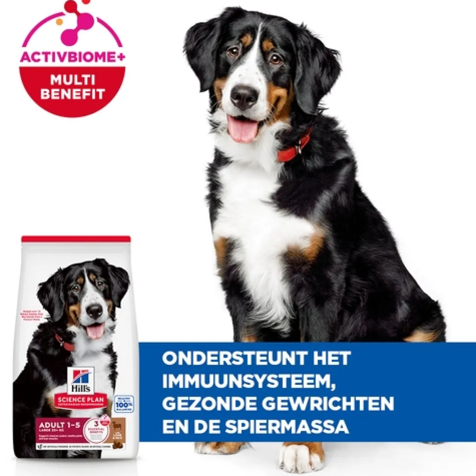 Hill's Science Plan Large Breed - Adult - Lam & Rijst