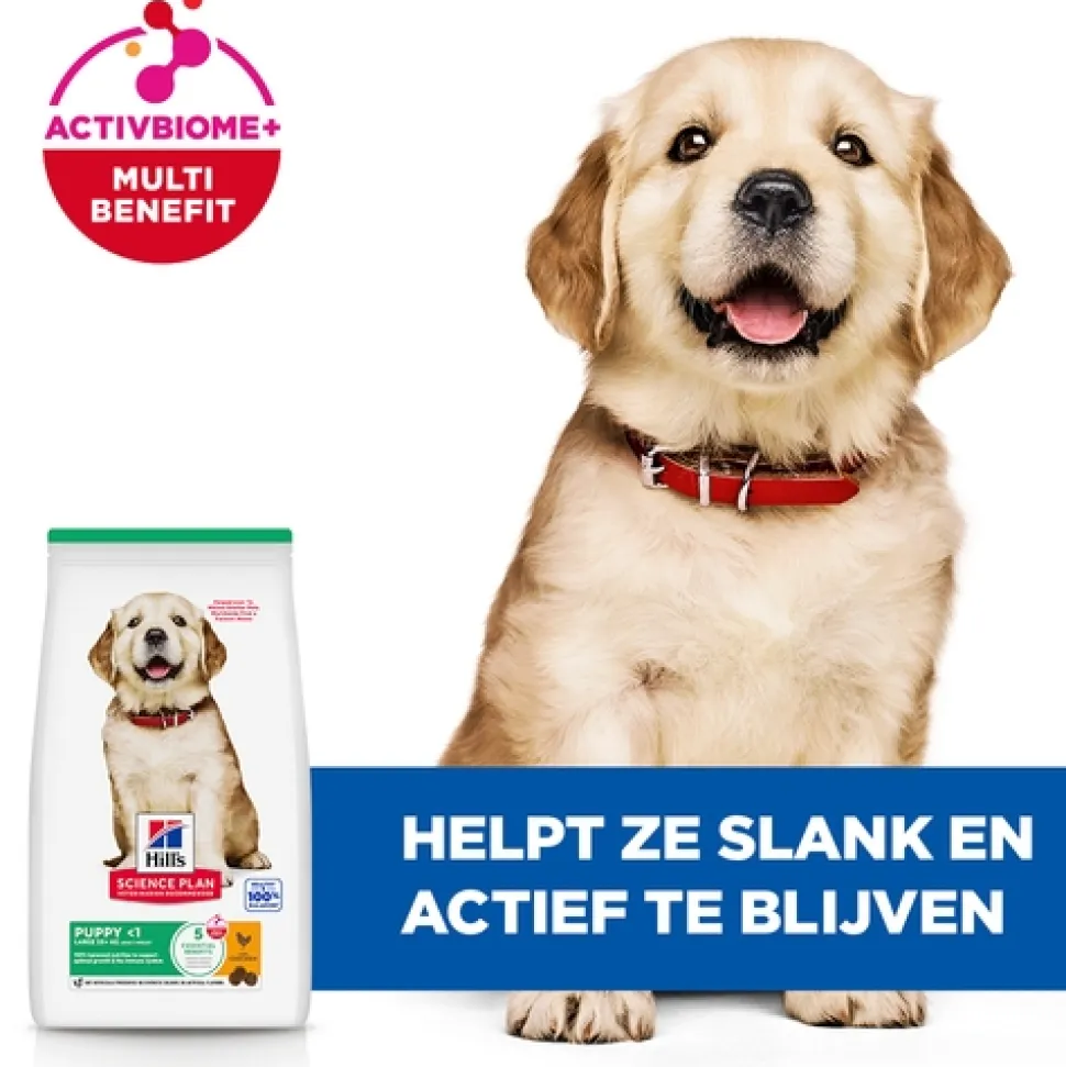 Hill's Science Plan - Large Breed - Puppy - Kip