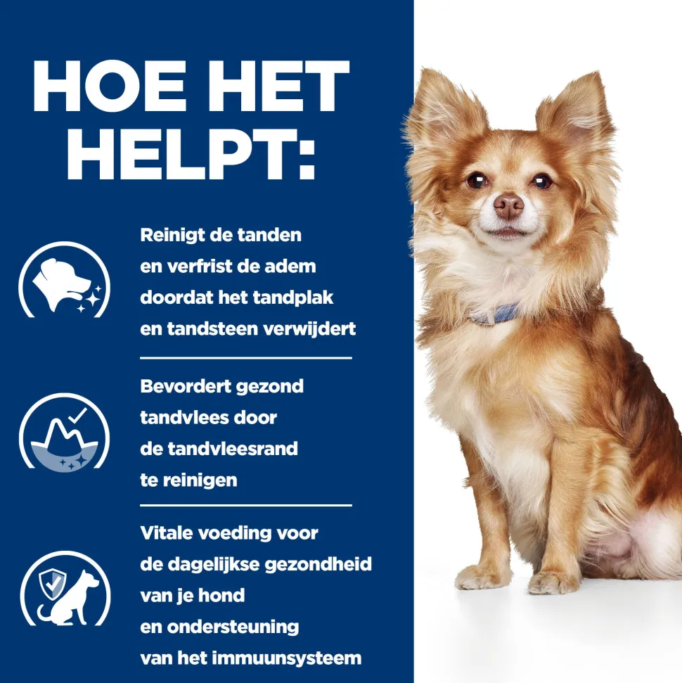 Hill's t/d Mini Dental Care - Prescription Diet - Canine