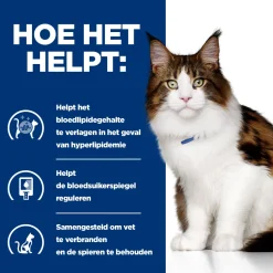 Hill's w/d Low Fat/Diabetes/Colitis - Prescription Diet - Feline