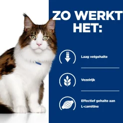 Hill's w/d Low Fat/Diabetes/Colitis - Prescription Diet - Feline