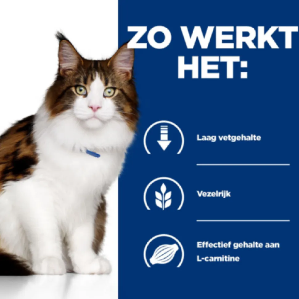 Hill's w/d Multi Benefit - Prescription Diet - Feline - Natvoer