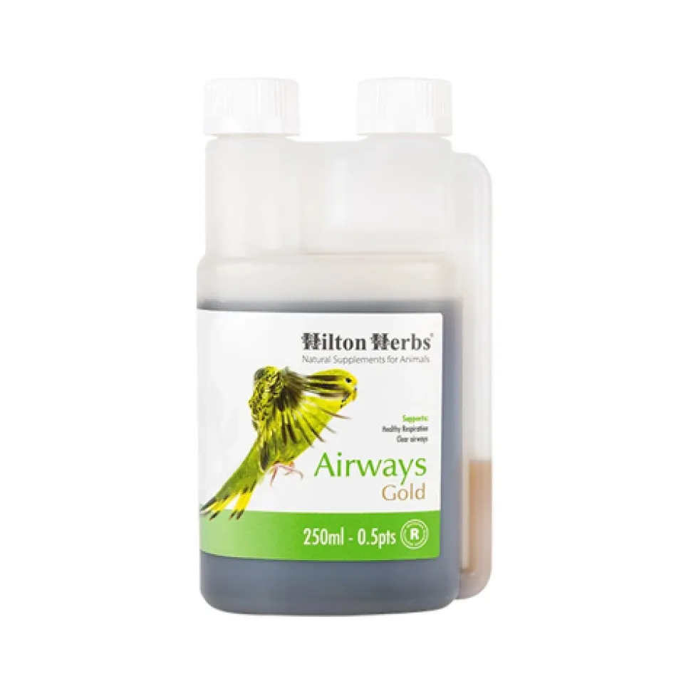 Hilton Herbs Airways Gold for Birds