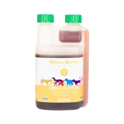 Hilton Herbs LBM Solution for Dogs