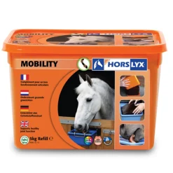 Horslyx Liksteen