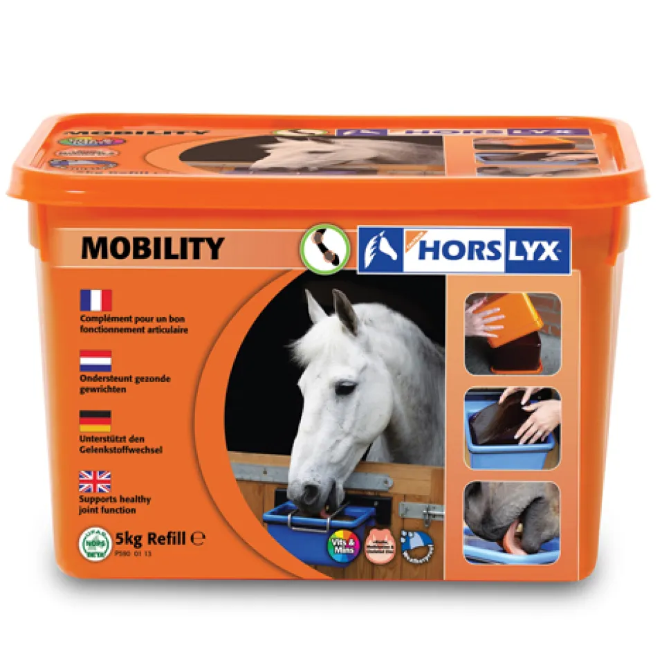 Horslyx Liksteen