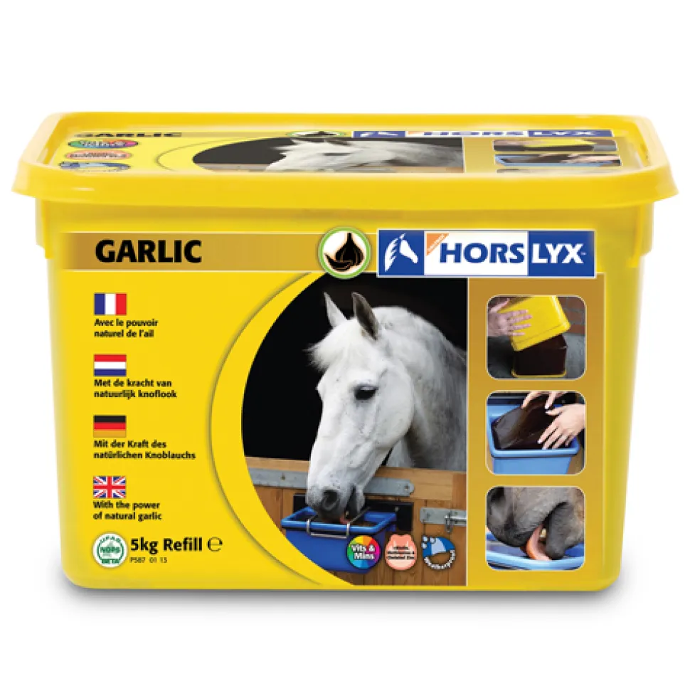Horslyx Liksteen