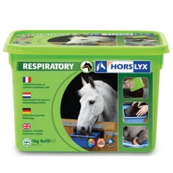 Horslyx Liksteen