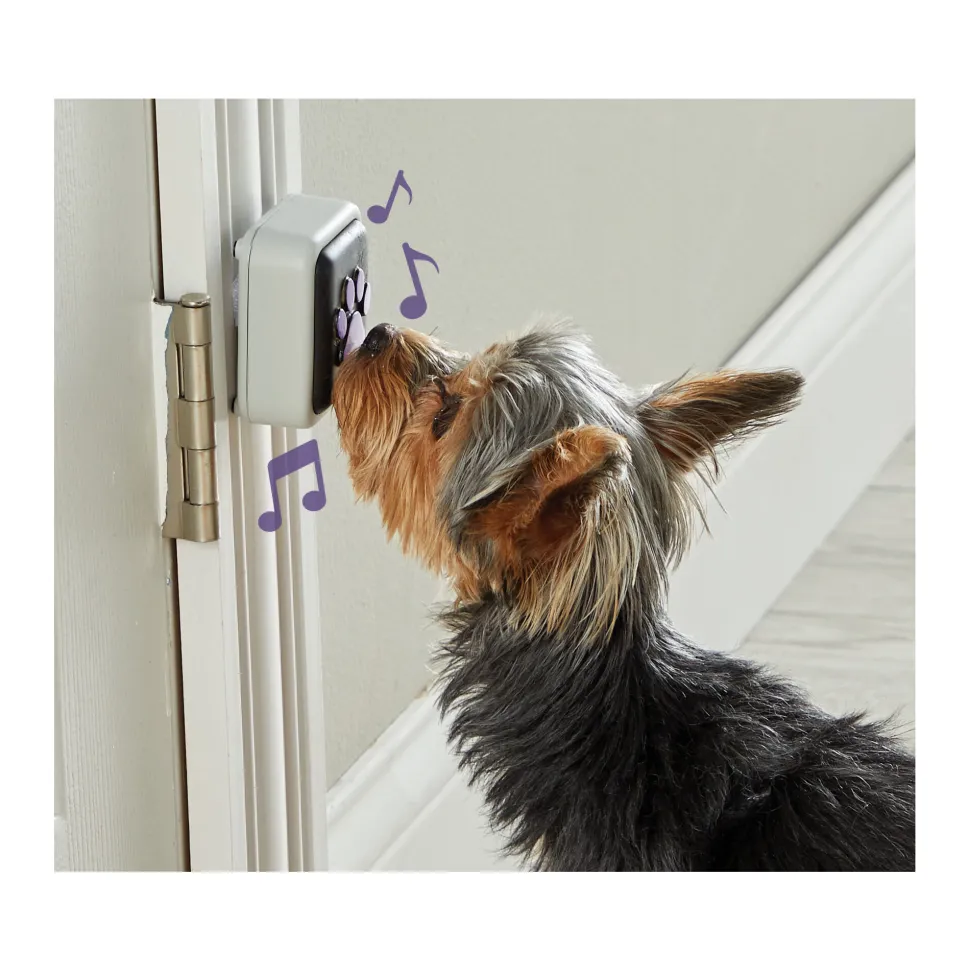 Hunger for Words Talking Pet Doorbell