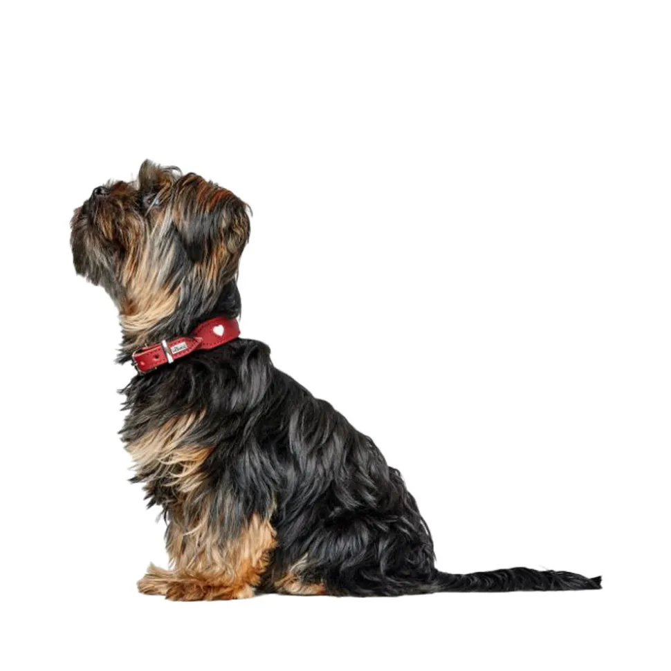 Hunter Collar Love