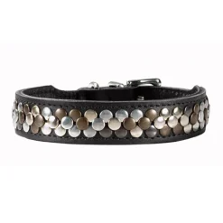 Hunter Halsband Arizona