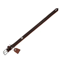 Hunter Halsband Cody