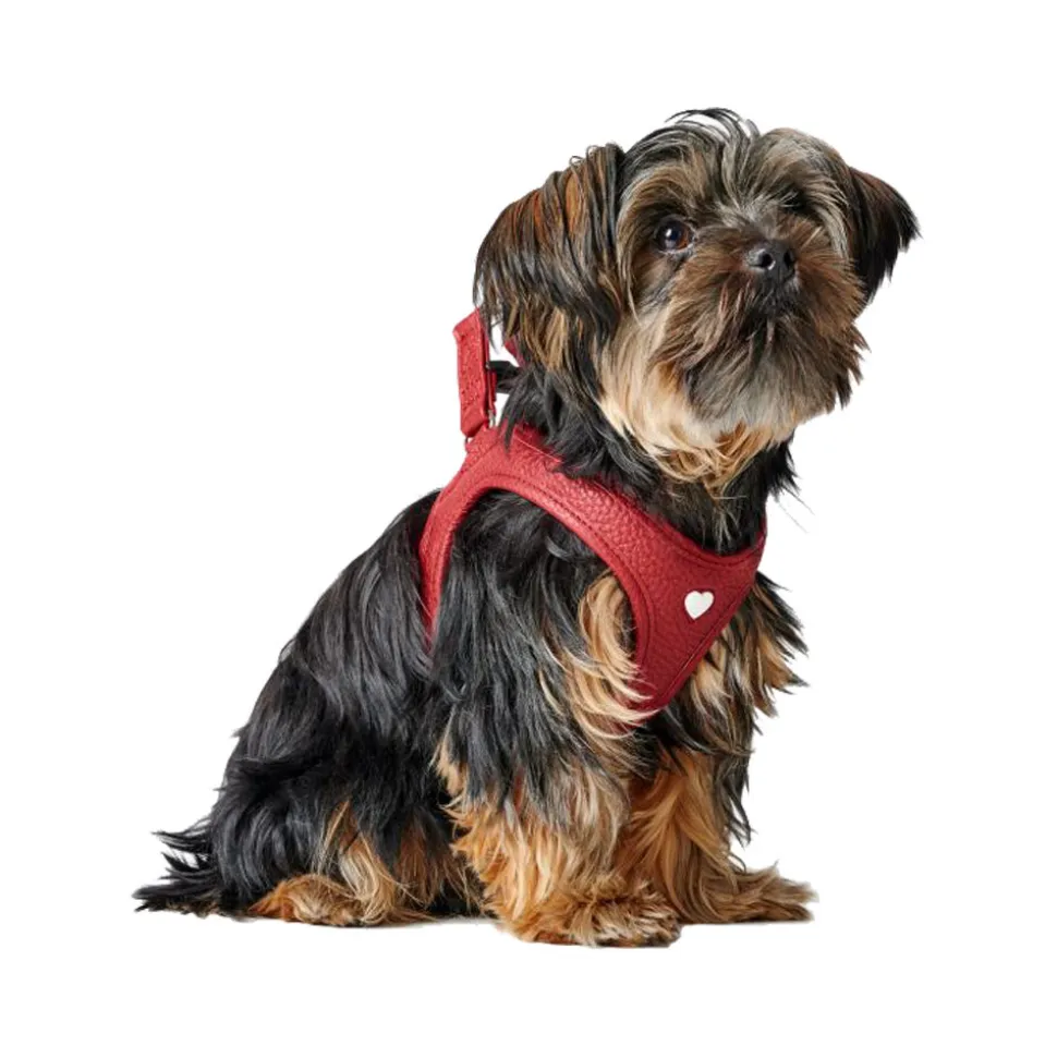 Hunter Harness Love