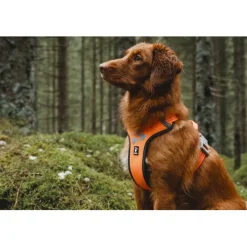 Hurtta Weekend Warrior Harness