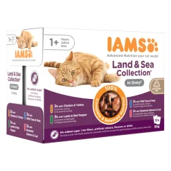 IAMS Delights Adult Cat Natvoer