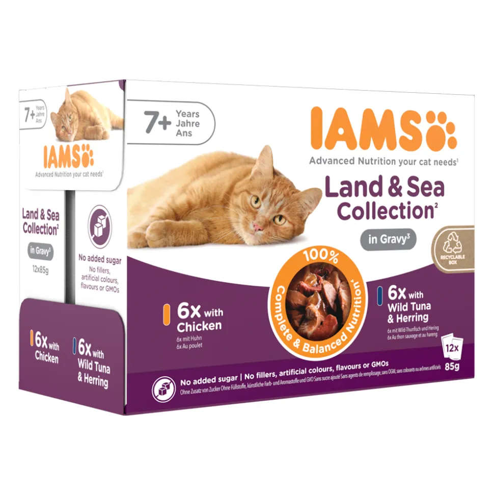 IAMS Delights Senior Cat Natvoer