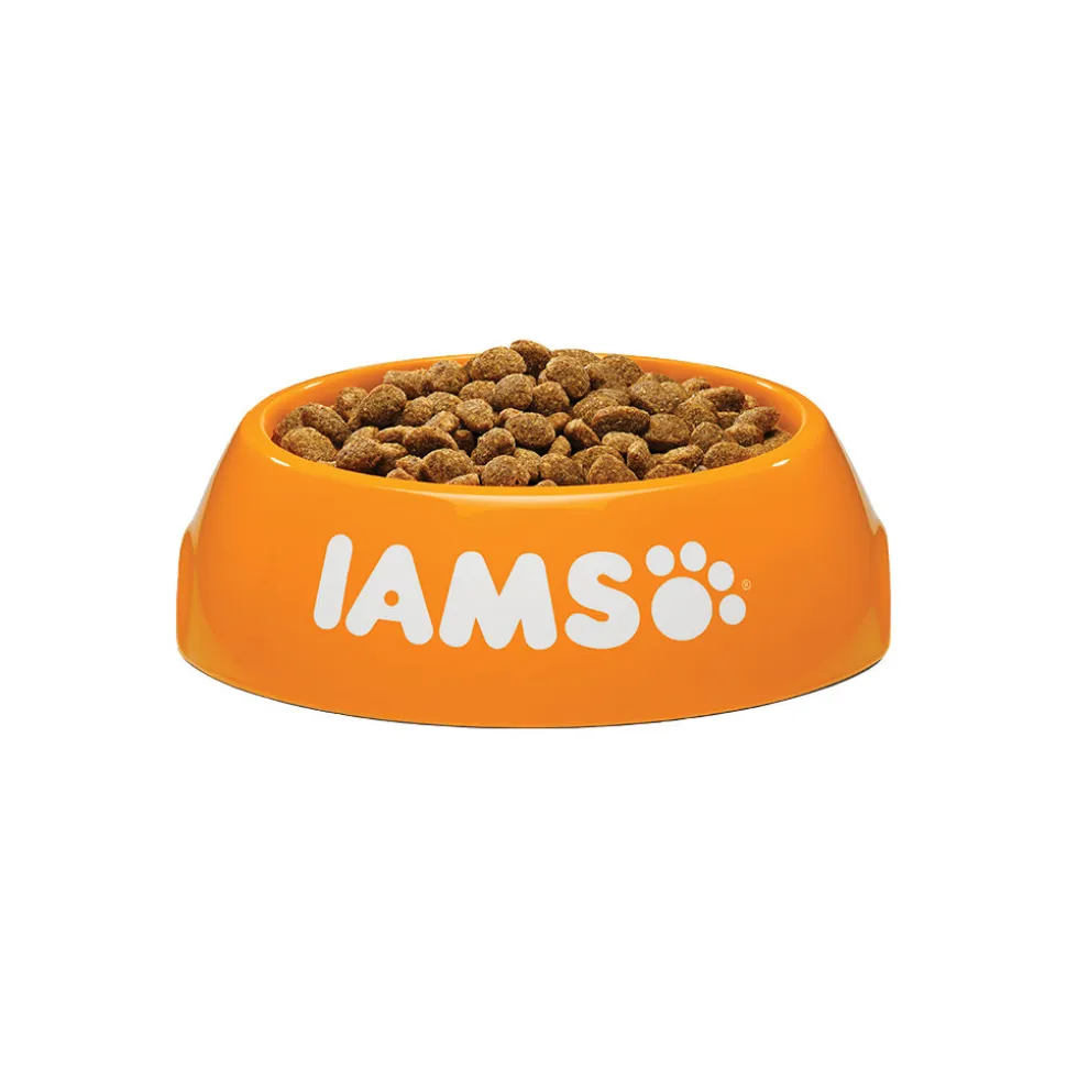 IAMS for Vitality Dog Light in Fat