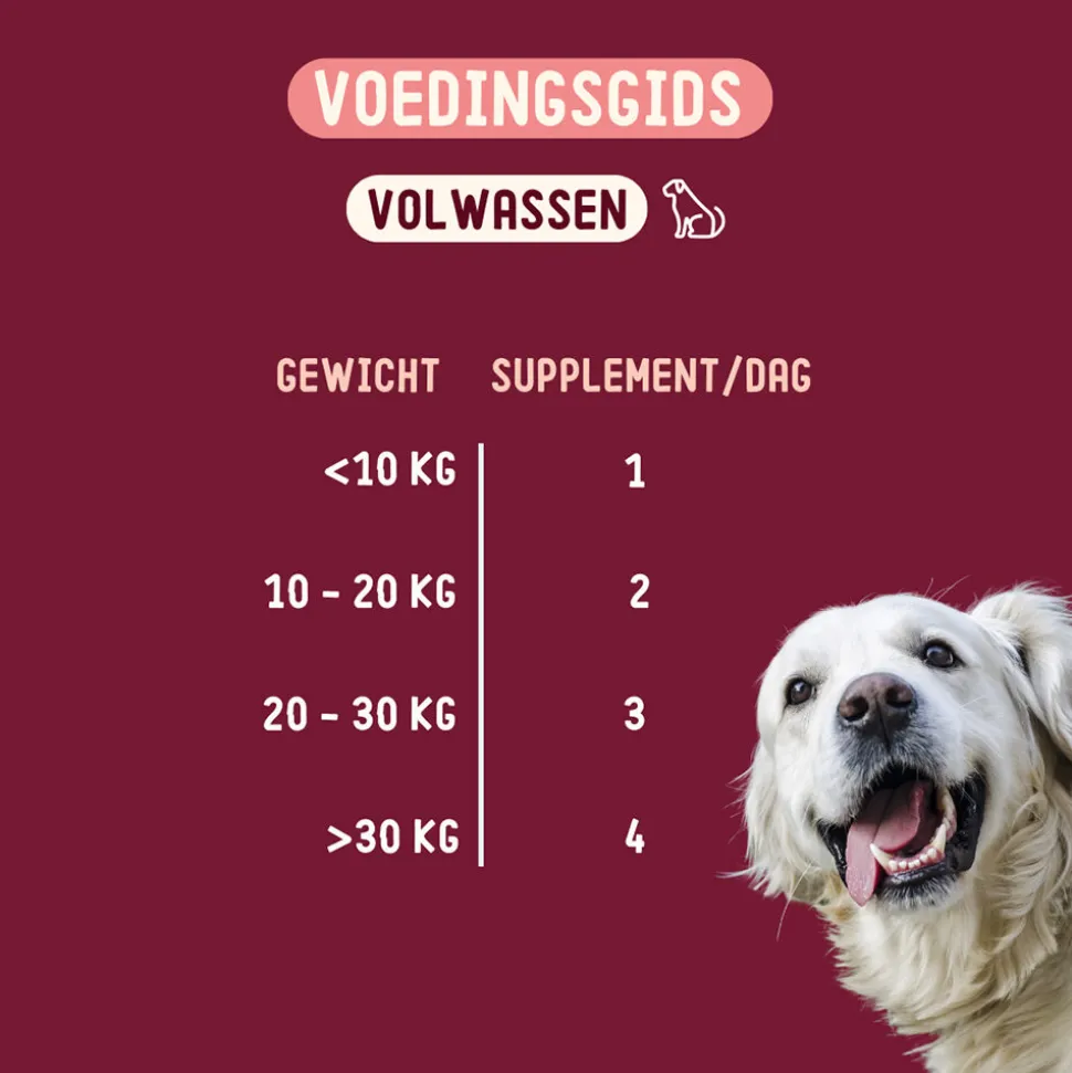Imby Skin Health Hond