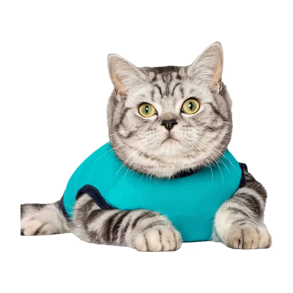 Jacketz Medical Body Suit Kat