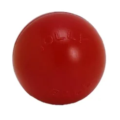 Jolly Push-n-Play Ball