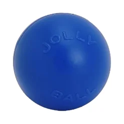 Jolly Push-n-Play Ball
