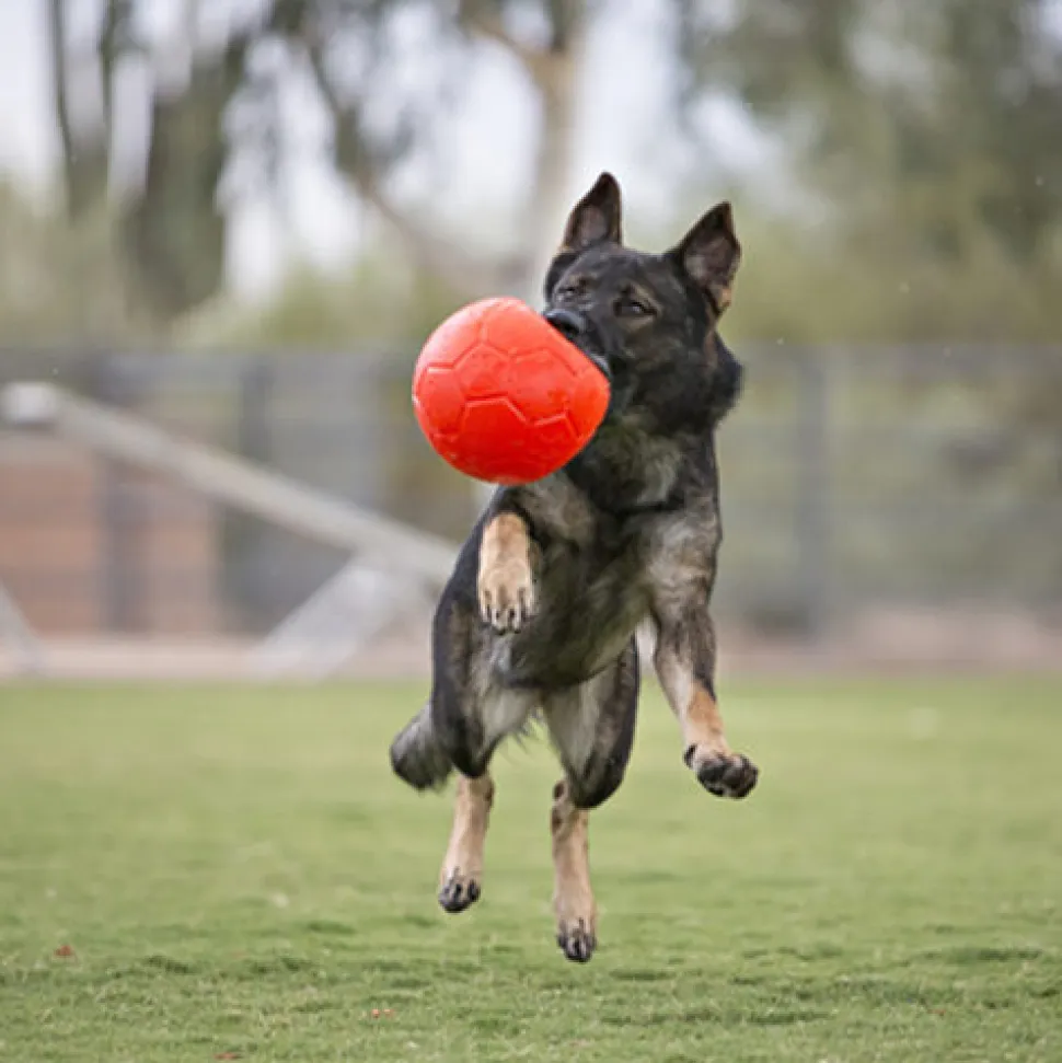 Jolly Soccer Ball