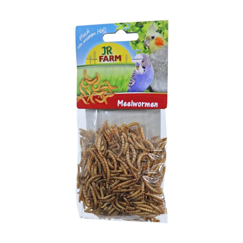 JR Farm Meelwormen