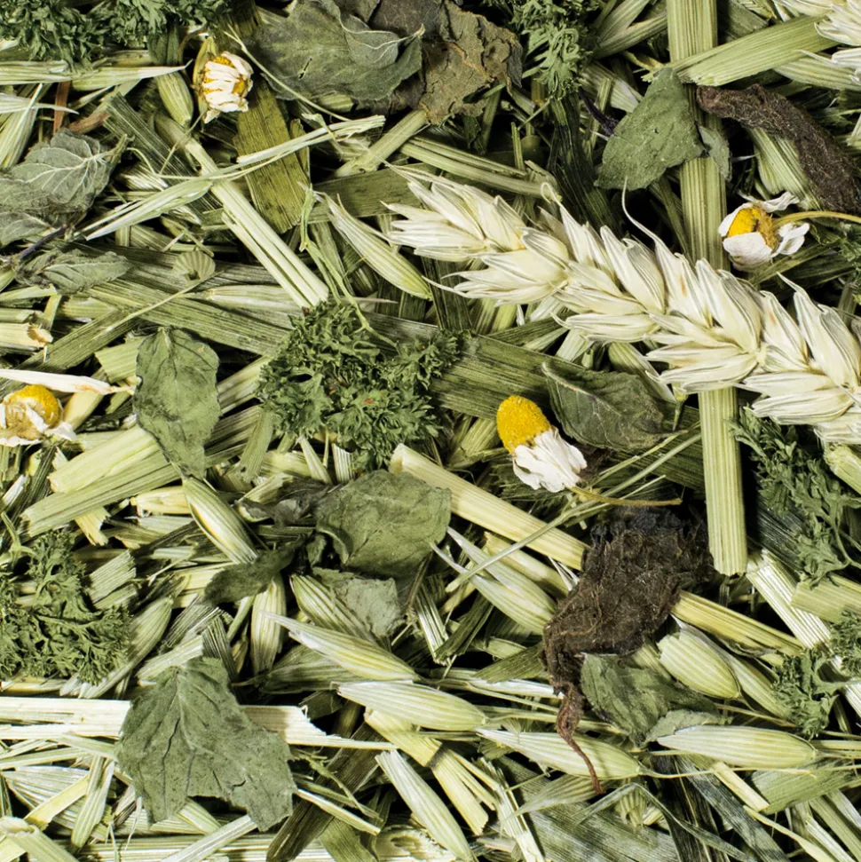 JR Farm Ruwe Knaagdiersnack - Kruidentuin