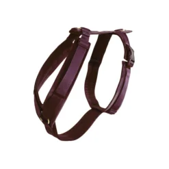 Kentucky Dog Harness Active Velvet