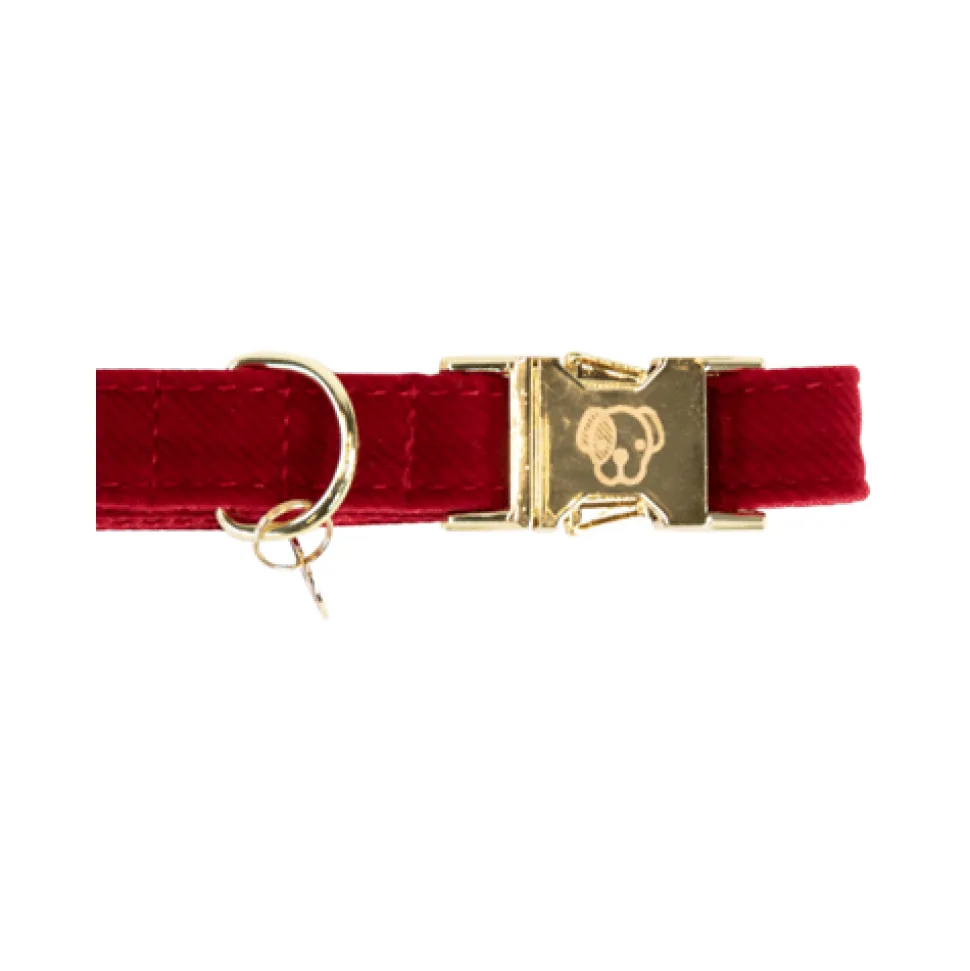 Kentucky Dogwear Corduroy Hondenhalsband
