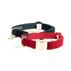 Kentucky Dogwear Corduroy Hondenhalsband