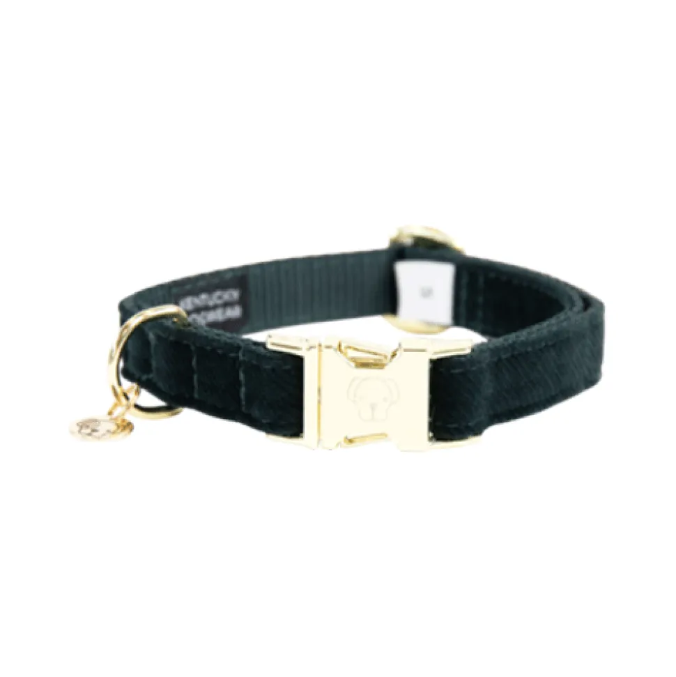 Kentucky Dogwear Corduroy Hondenhalsband