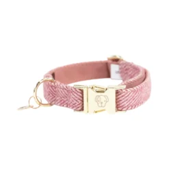 Kentucky Dogwear Hondenhalsband Wool