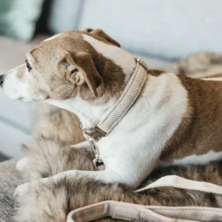 Kentucky Dogwear Hondenlijn Wool