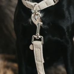 Kentucky Dogwear Hondenlijn Wool