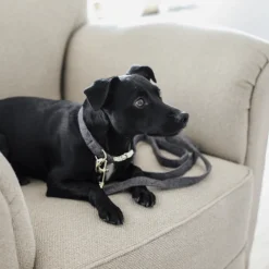 Kentucky Dogwear Hondenlijn Wool