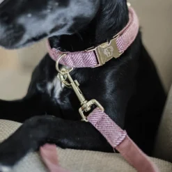 Kentucky Dogwear Hondenlijn Wool