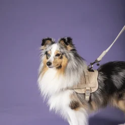 Kentucky Dogwear Hondenlijn Wool