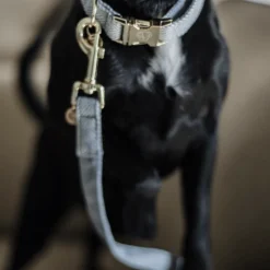 Kentucky Dogwear Hondenlijn Wool