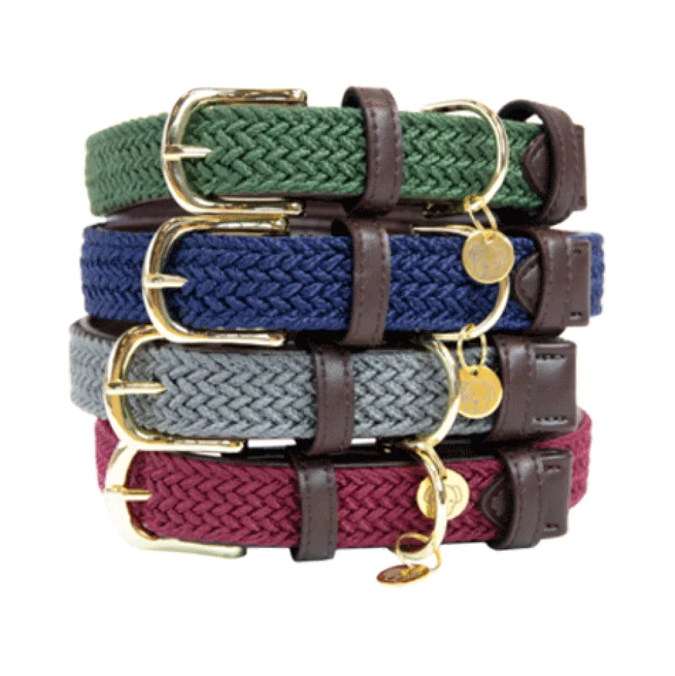 Kentucky Dogwear Nylon Hondenhalsband